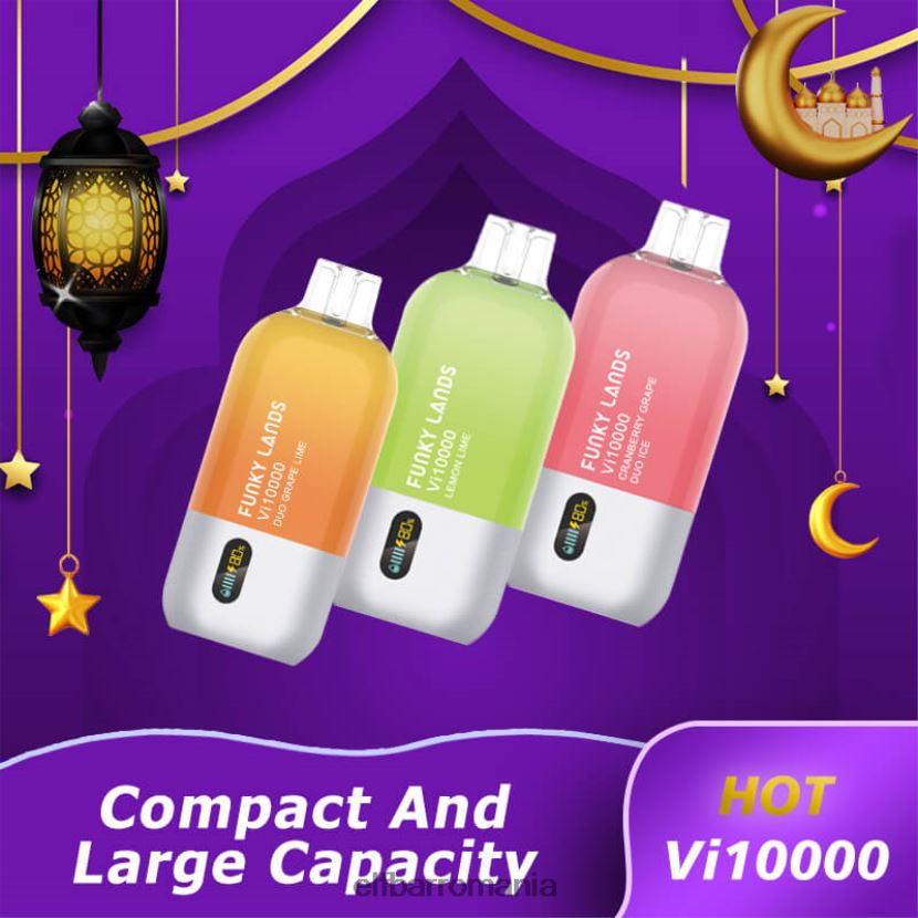 ELFBAR funky lands vape de unică folosință vi10000 puf amestec de fructe de pădure R06FNN159